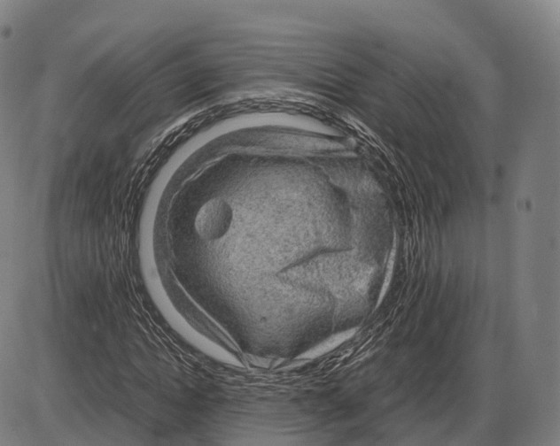 X0000083980822200703161554