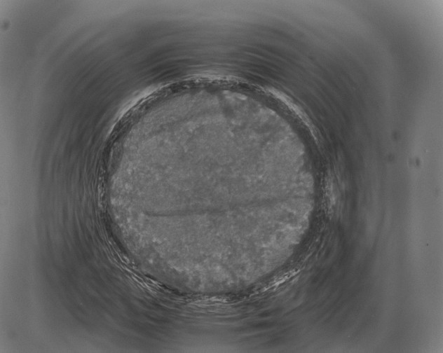 X0000083980823200703161554