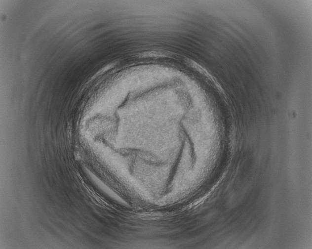 X0000083980825200703161554