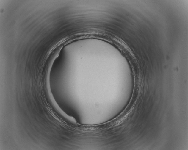 X0000083980826200703161554