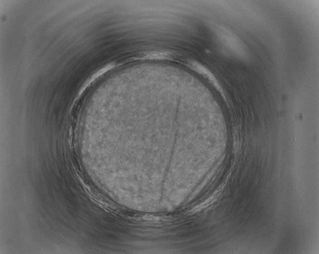 X0000083980827200703161554