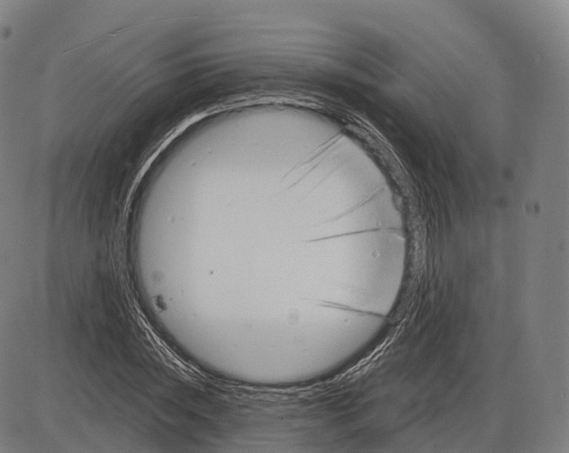 X0000083980828200703161555