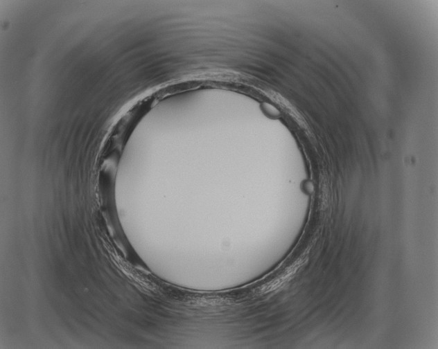 X0000083980830200703161555