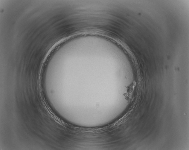 X0000083980832200703161555