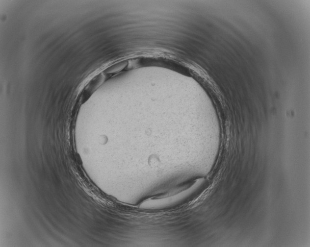 X0000083980834200703161555