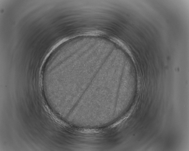 X0000083980835200703161555