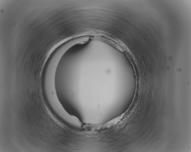 X0000083980838200703161555