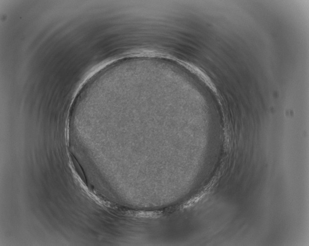 X0000083980839200703161555