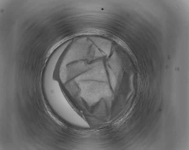 X0000083980842200703161555