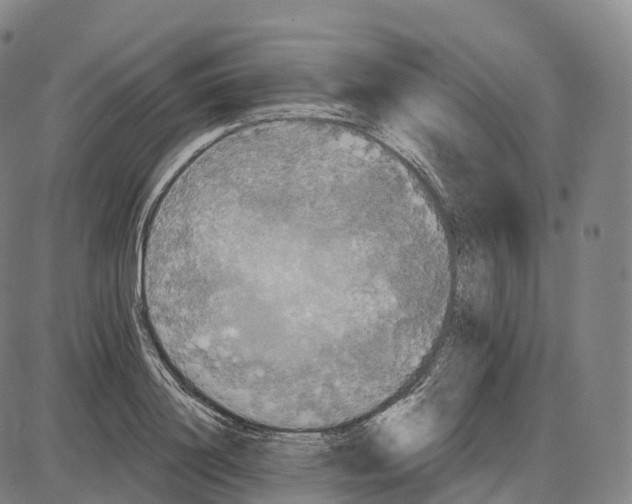 X0000083980844200703161555