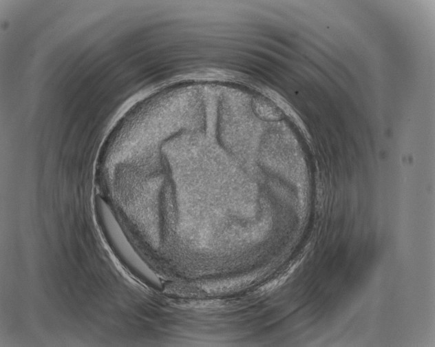 X0000083980845200703161555