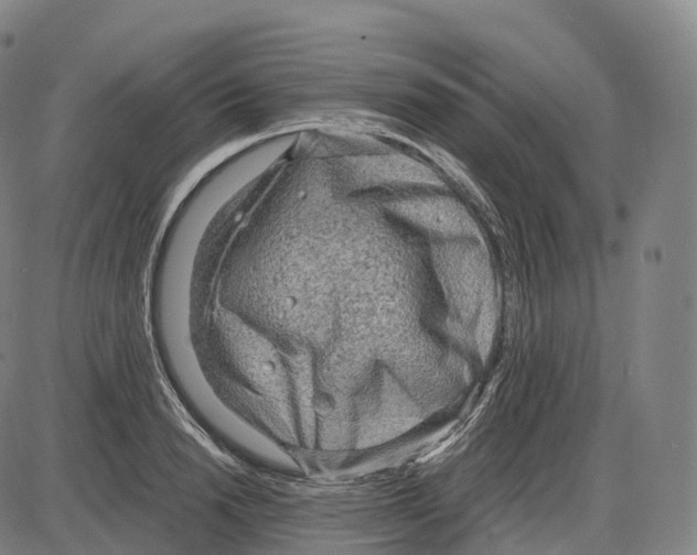 X0000083980846200703161555