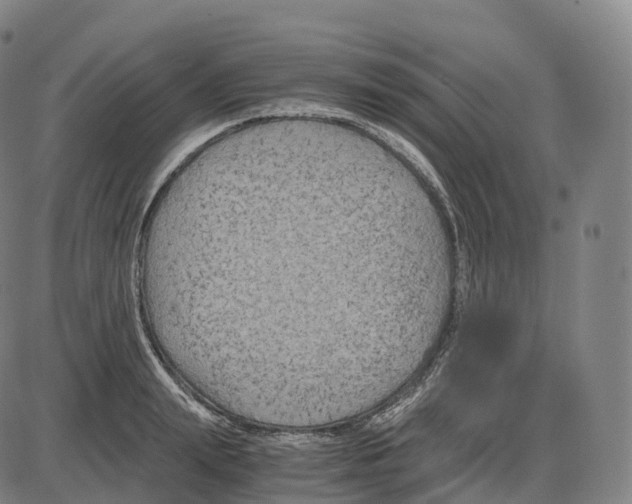 X0000083980847200703161555