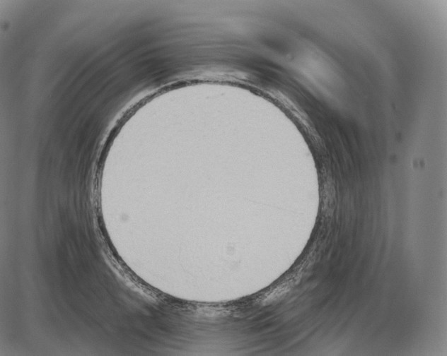 X0000083980848200703161555