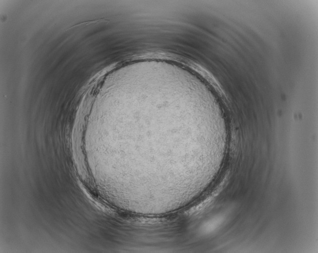 X0000083980849200703161555