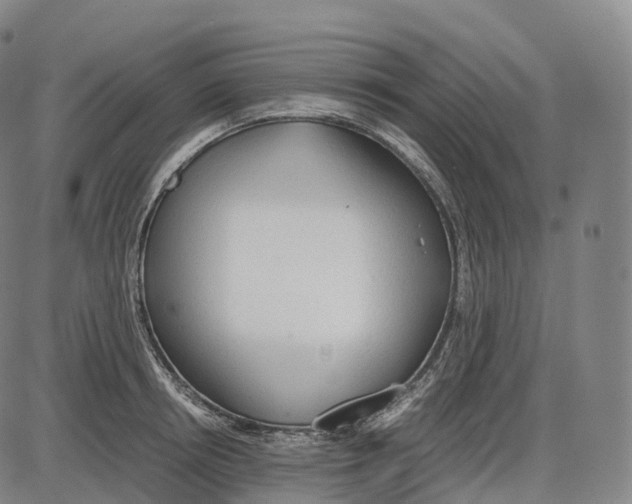 X0000083980850200703161555