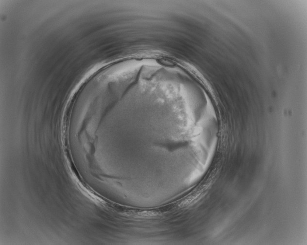 X0000083980851200703161555