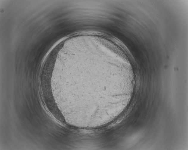 X0000083980852200703161555