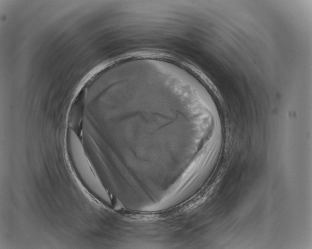 X0000083980853200703161555