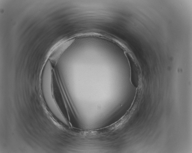 X0000083980858200703161555