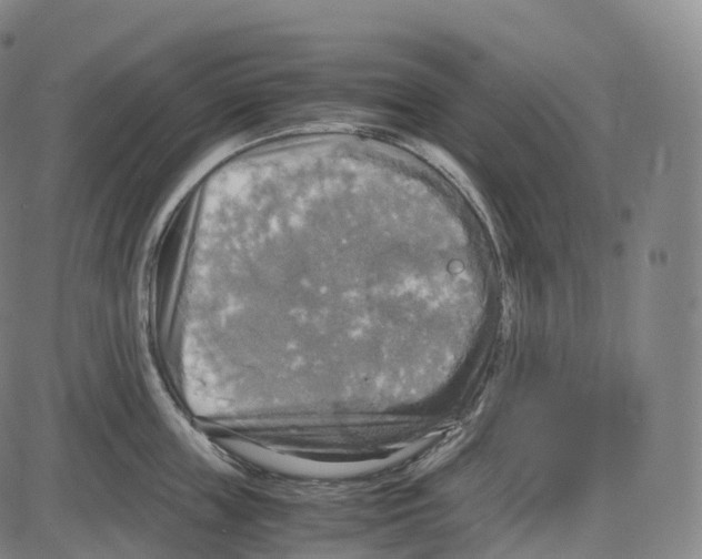 X0000083980859200703161555