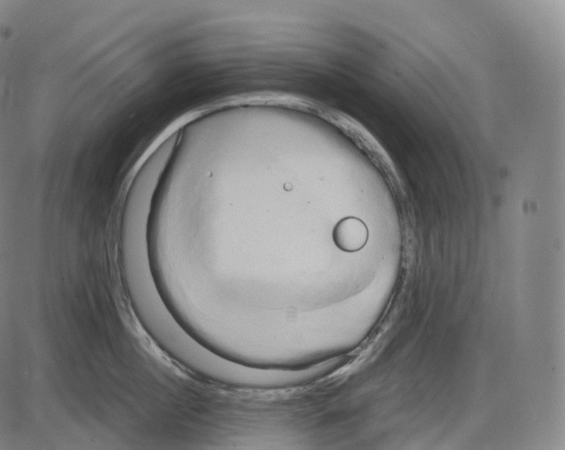 X0000083980860200703161555