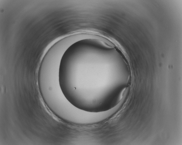 X0000083980862200703161555