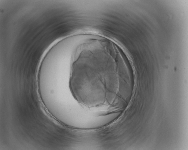 X0000083980864200703161555