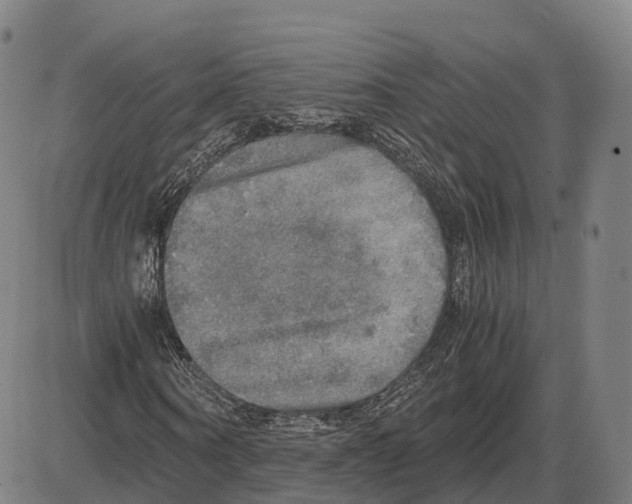 X0000083980866200703161554