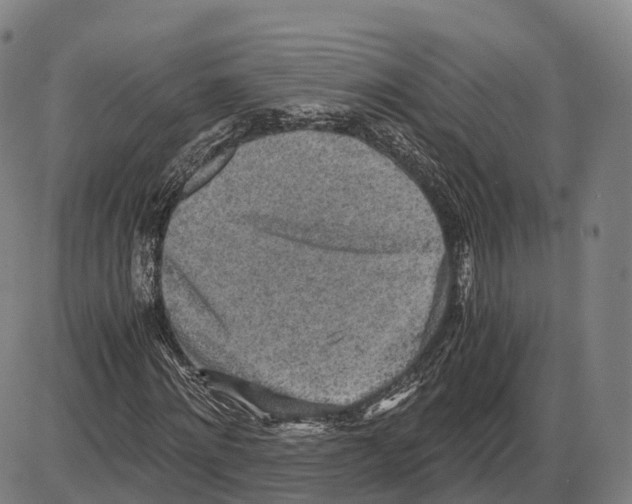 X0000083980868200703161554