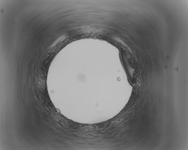 X0000083980869200703161554