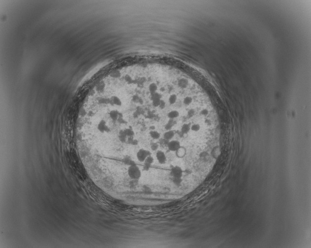 X0000083980871200703161554