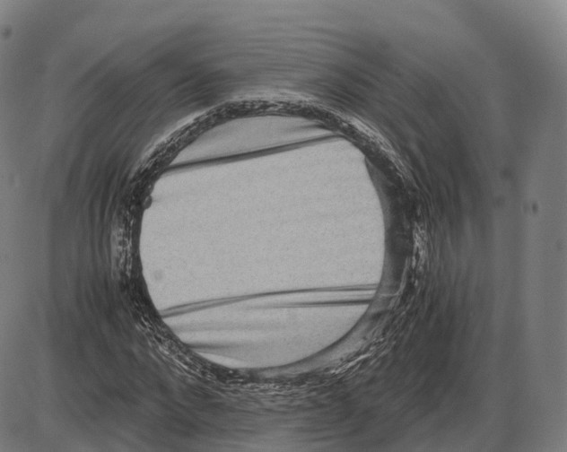 X0000083980872200703161554