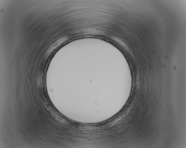 X0000083980873200703161554