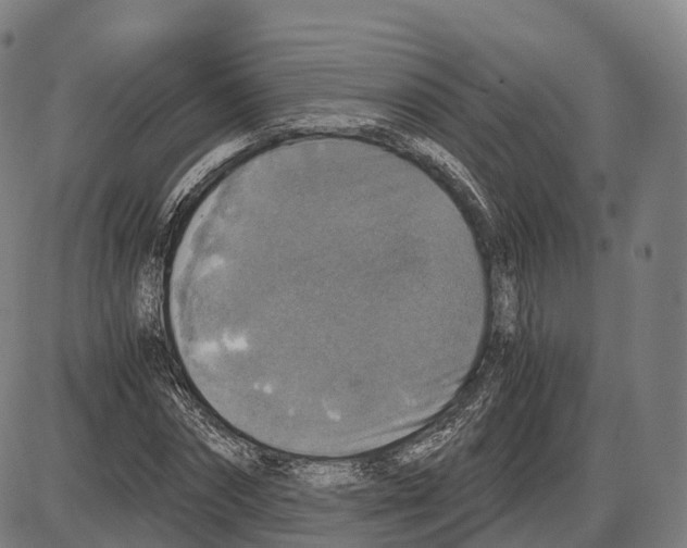 X0000083980874200703161554