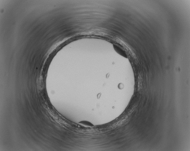 X0000083980876200703161554