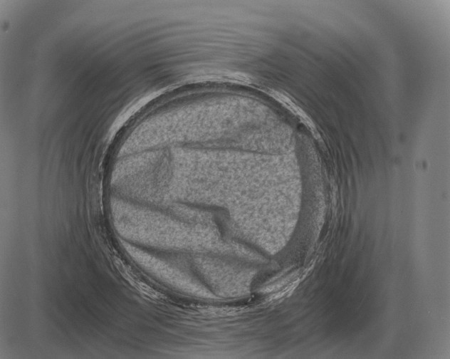 X0000083980877200703161554