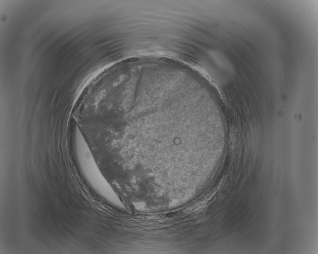 X0000083980879200703161554