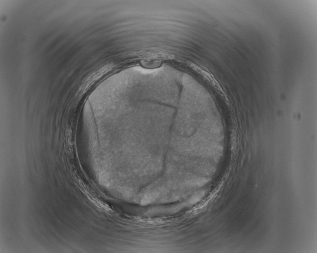 X0000083980881200703161554