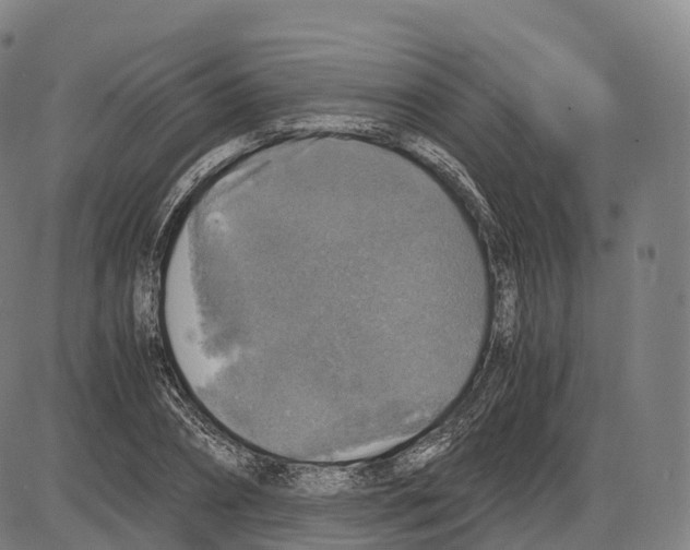 X0000083980882200703161554