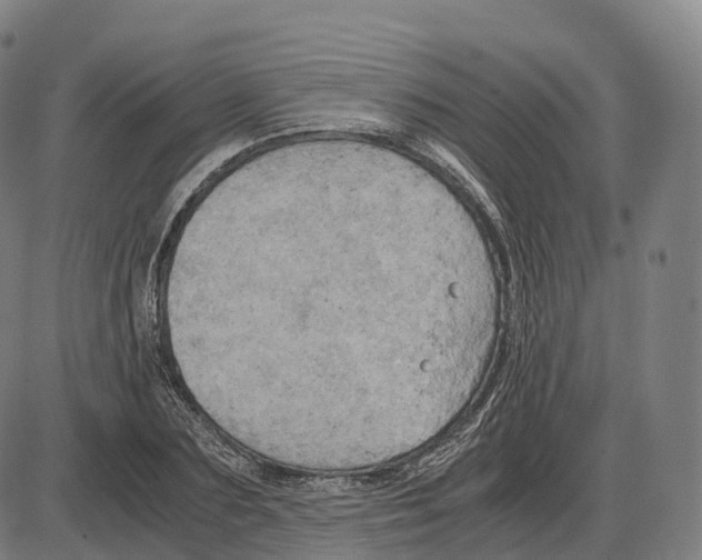 X0000083980883200703161554