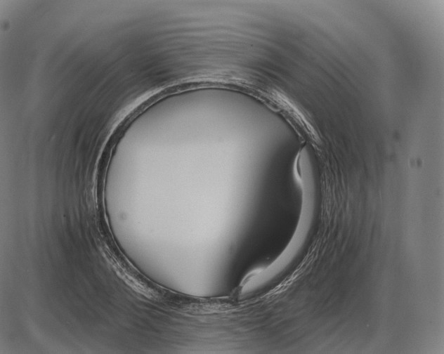 X0000083980884200703161554