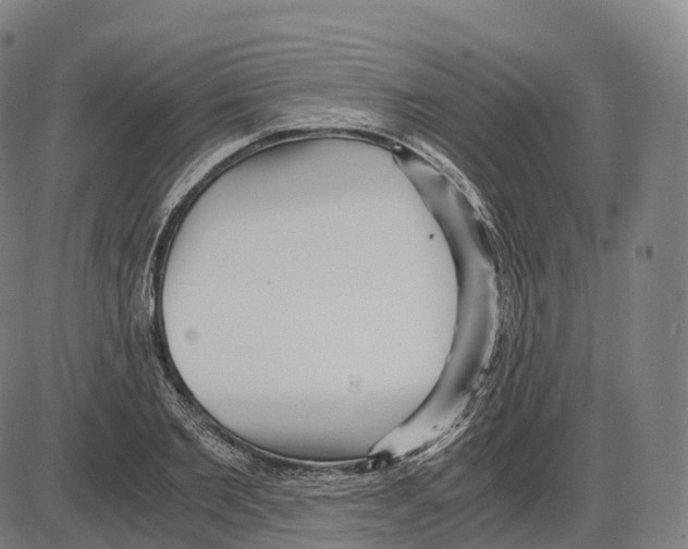 X0000083980885200703161554