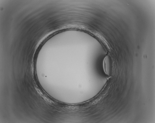 X0000083980888200703161554