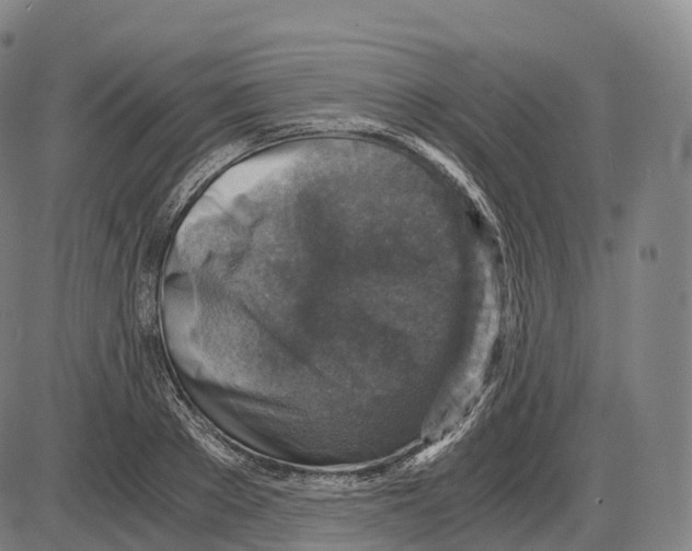 X0000083980889200703161554