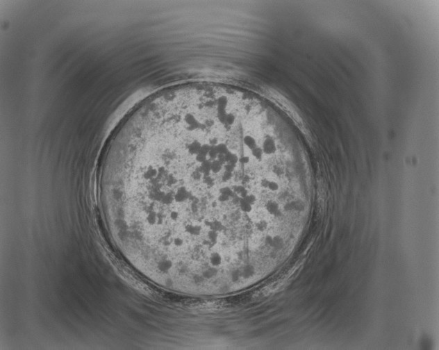 X0000083980891200703161554