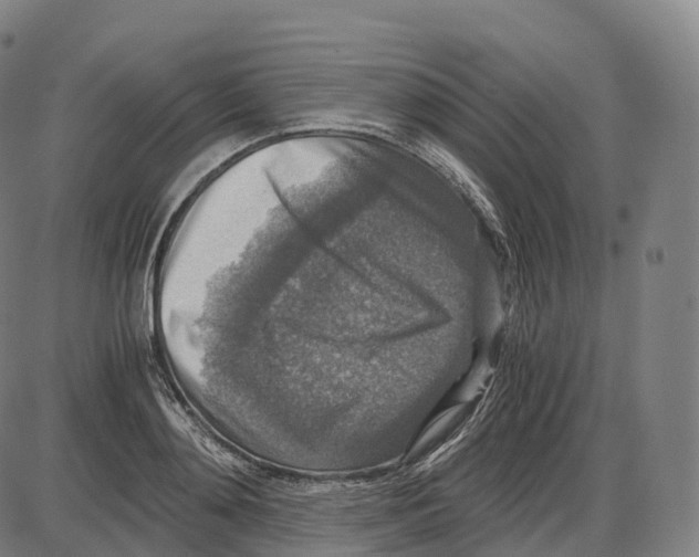 X0000083980892200703161554