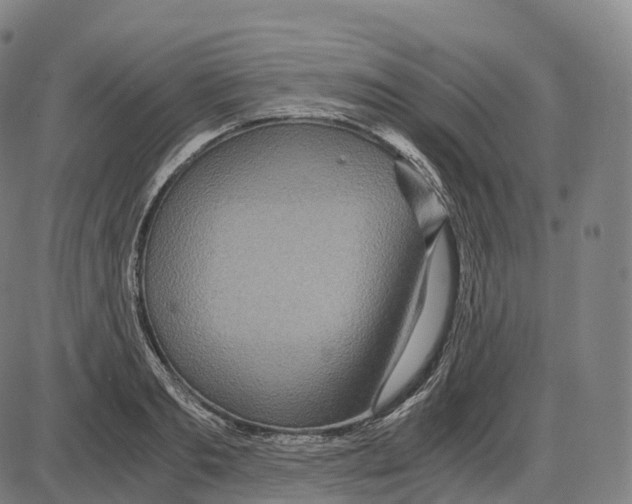 X0000083980893200703161554