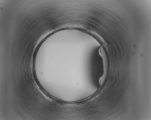 X0000083980894200703161554