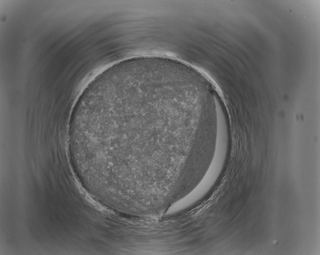 X0000083980895200703161554